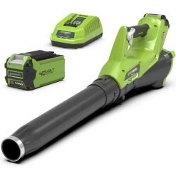 Greenworks Accu Bladblazer 40V Met 2.0Ah Accu En Lader